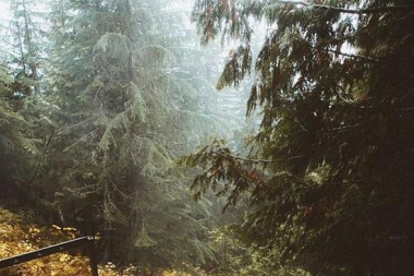 清明踏青赏雨 这些“湿身”地勾起文青骚动的心