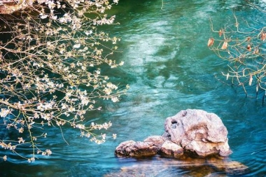 醉美西湖 四月的诗意全都融化在这一池春水里了