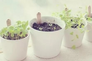 姑娘,不要将被撩当做喜欢