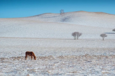 十一月最适合去北方看雪 去南方看海