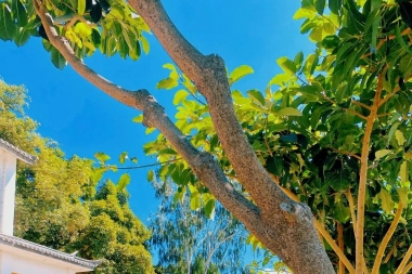 看了这100张风景照片 就开始为理想努力吧