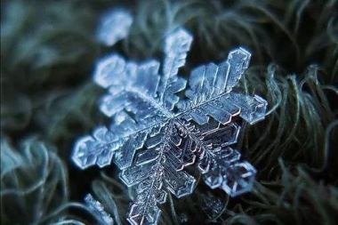 外国小哥花九年时间 只为拍一朵雪花