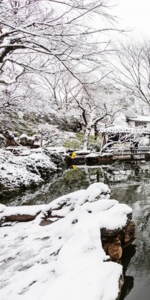 一下雪 苏州就成了姑苏