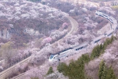 国内就有日本同款花海火车 将迎来最美春天