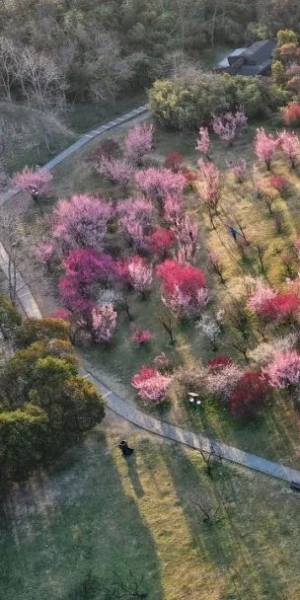一到春天 扬州就惊艳了全世界
