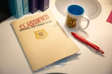 看《疯狂动物城2》也能启发你的冬日妆容新灵感！